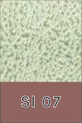 SI 07