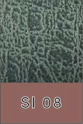 SI 08