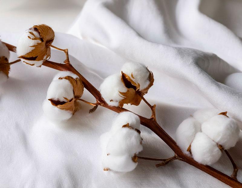 linge-dokar-coton-percale-professionnel-hotel-plante