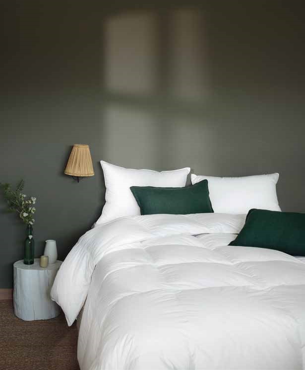 Couette-Bidart-hotel-tempérée-Pyrenex-hotellerie-professionnelle-hotel-Komalhotel