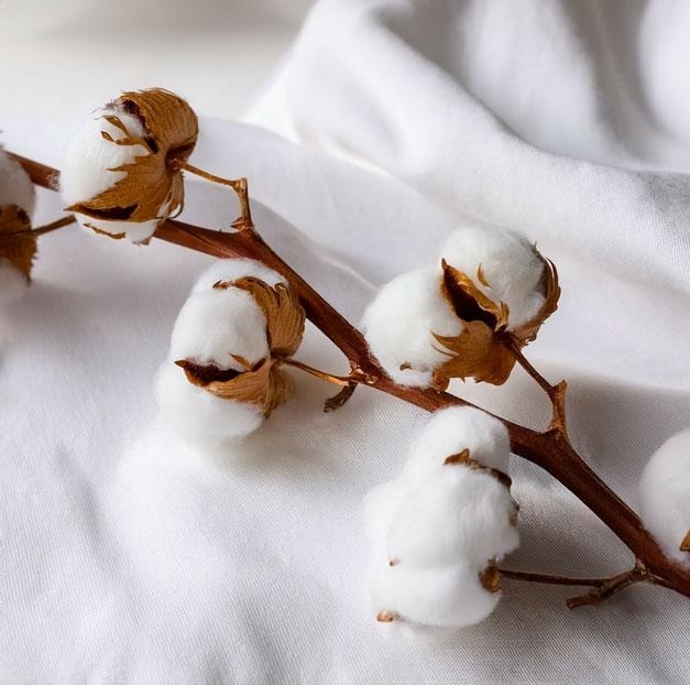 linge dokar coton percale professionnel hotel plante