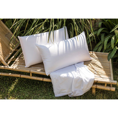 coleccionbambu