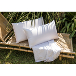 coleccionbambu