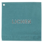 Lichen