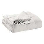 Craie
