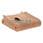 Dragée