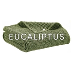 Eucaliptus