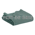 Vert de gris
