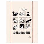 Galerie de chats
