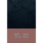VL 01