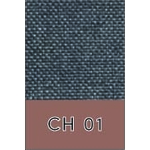 CH 01
