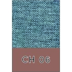 CH 06