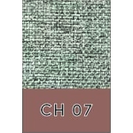 CH 07