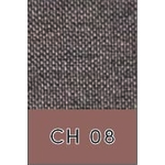 CH 08