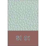 SI 01