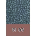 SI 06