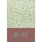 SI 07