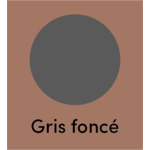 Couleur Gris foncé