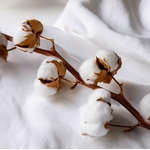 linge-dokar-coton-percale-professionnel-hotel-plante