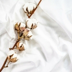 linge-cavis-coton-satin-professionnel-hotel-plante