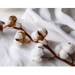 linge-dokar-coton-percale-professionnel-hotel-plante
