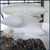 Oreiller-Selune-professionnel-synthetique-Hotel