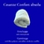 couette-confort absolu-professionnel-synthetique-hotellerie