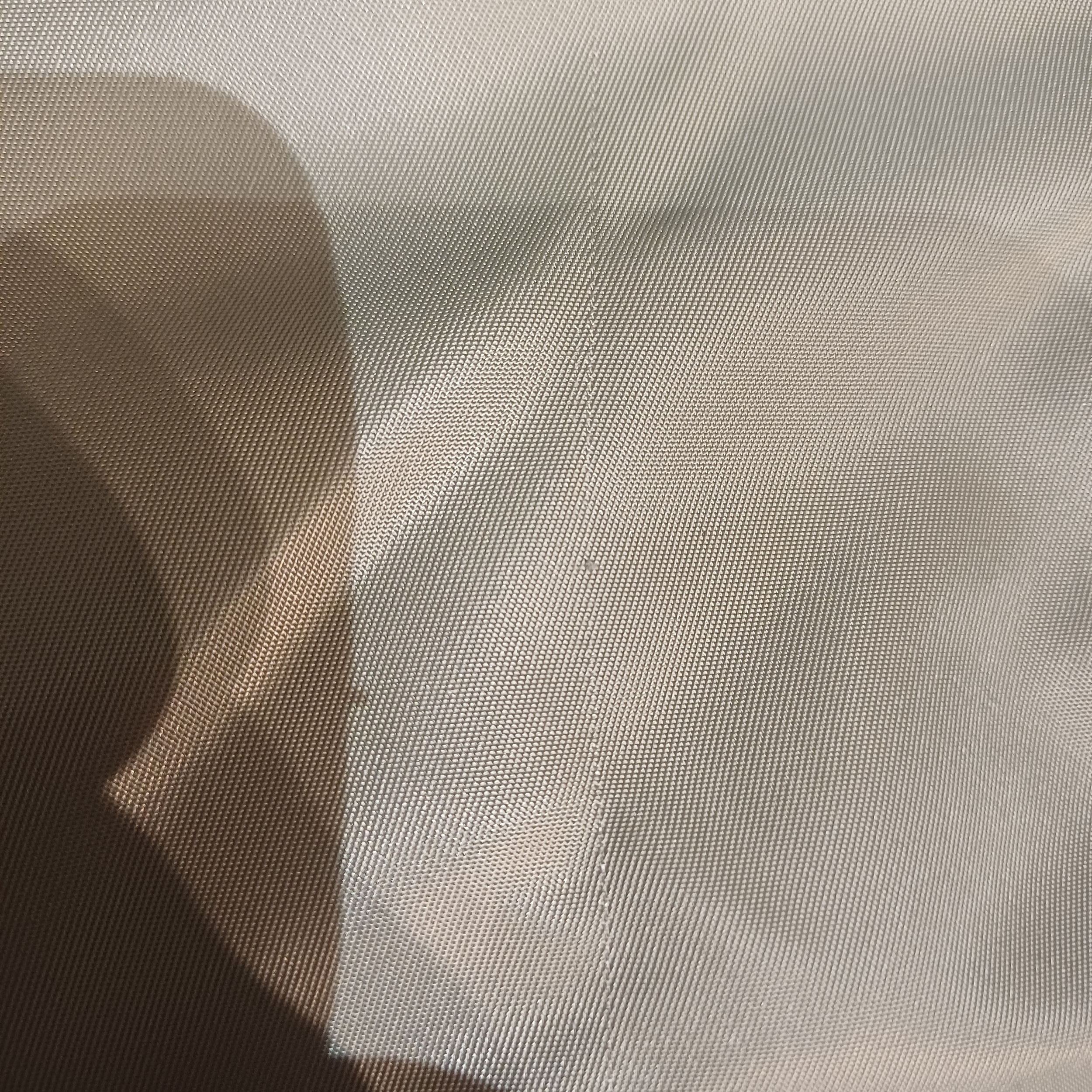 1000165818