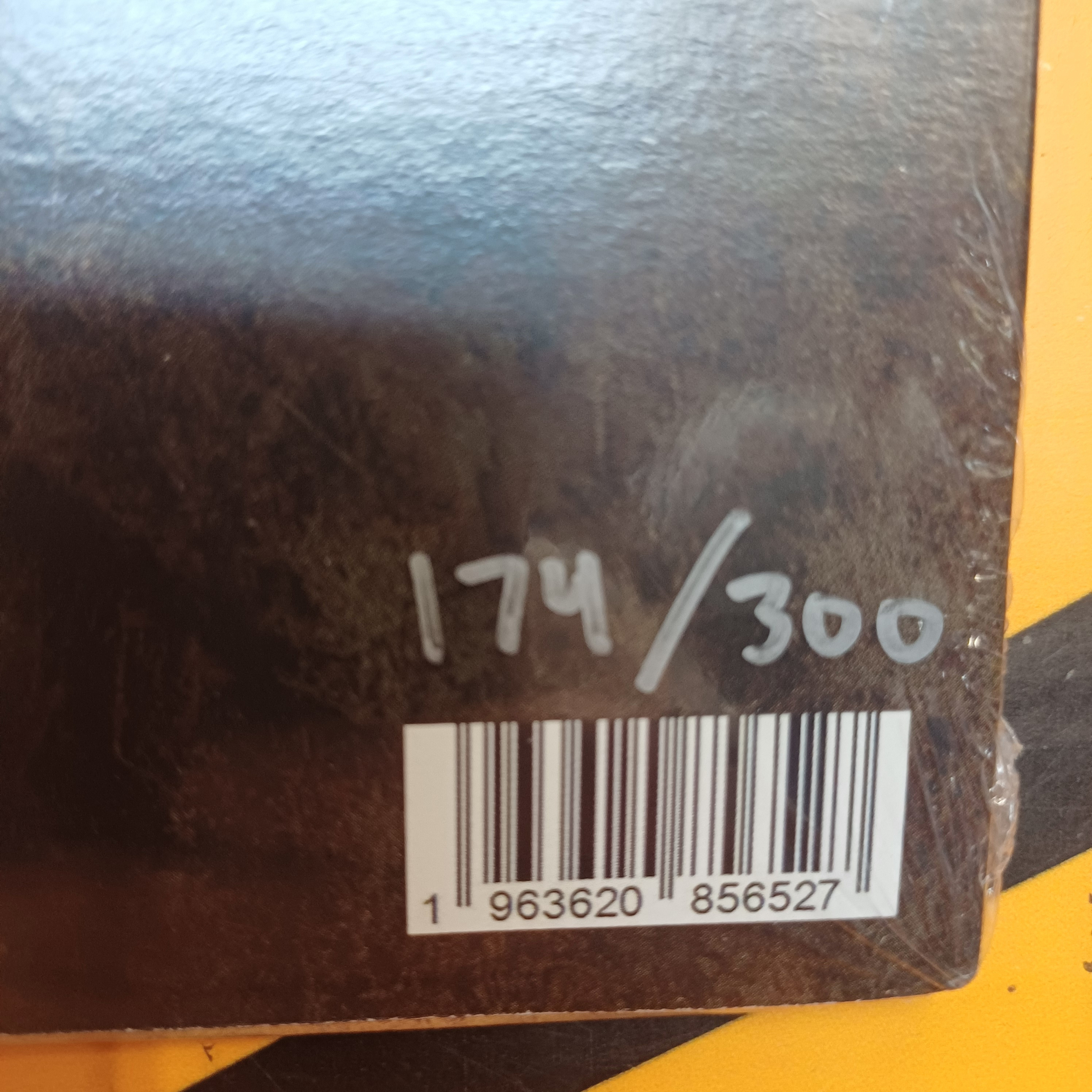 1000116208