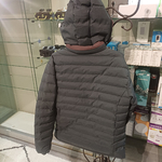 1000166239