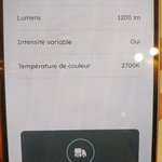 1000187052