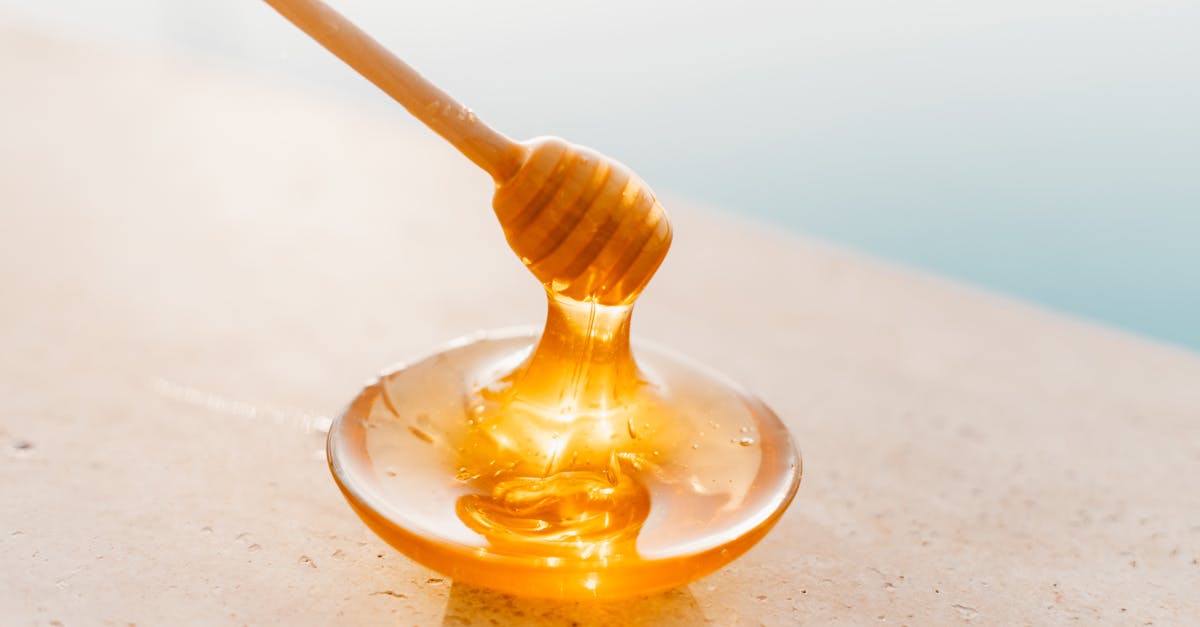photos gratuites de abeilles alveole bio
