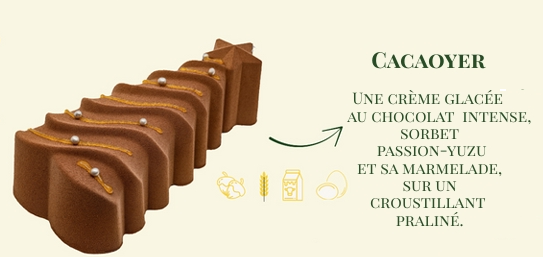 cacaoyer