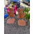 20250625_113357