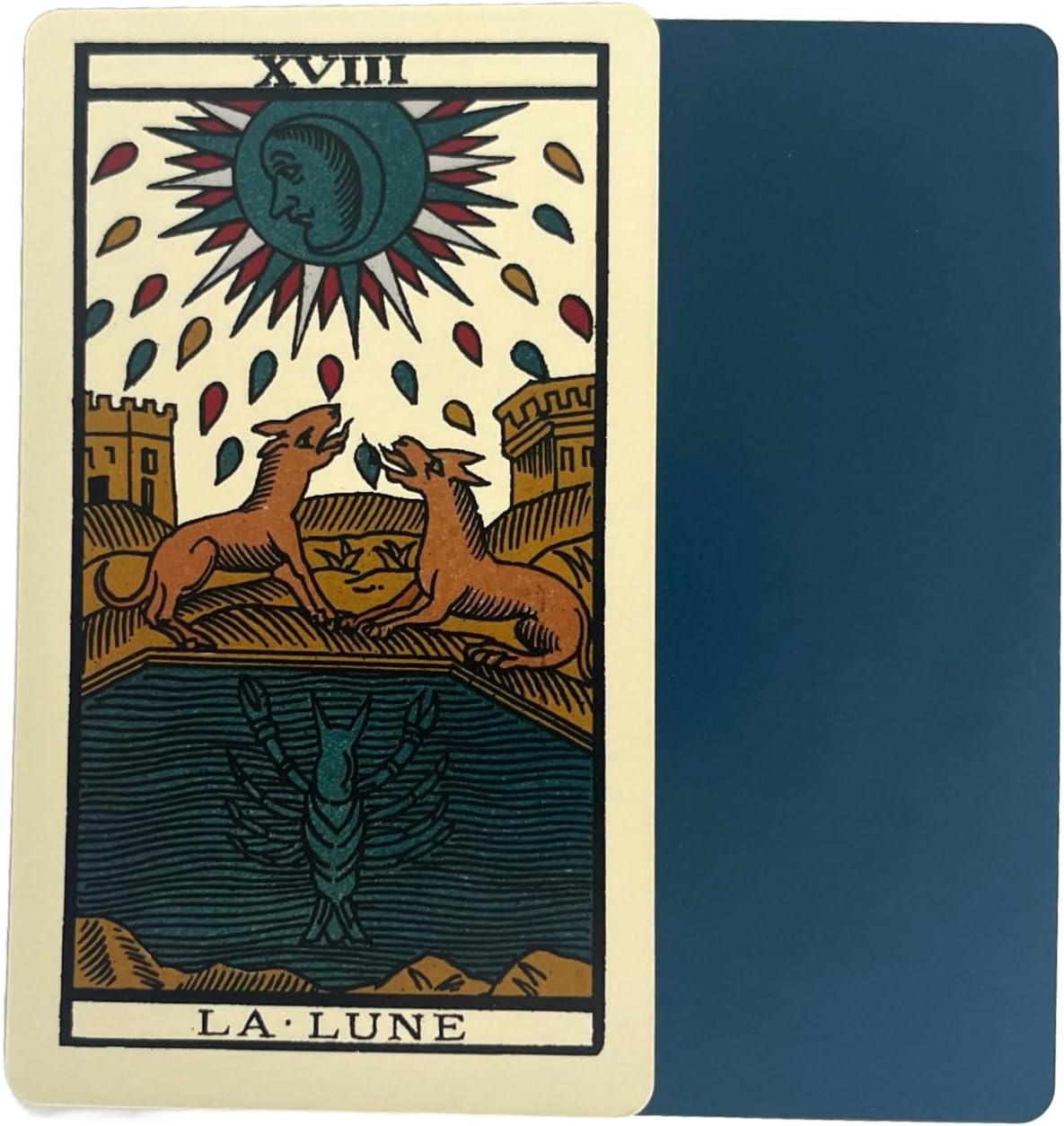 71GTvfvfn0L._AC_SL1500_