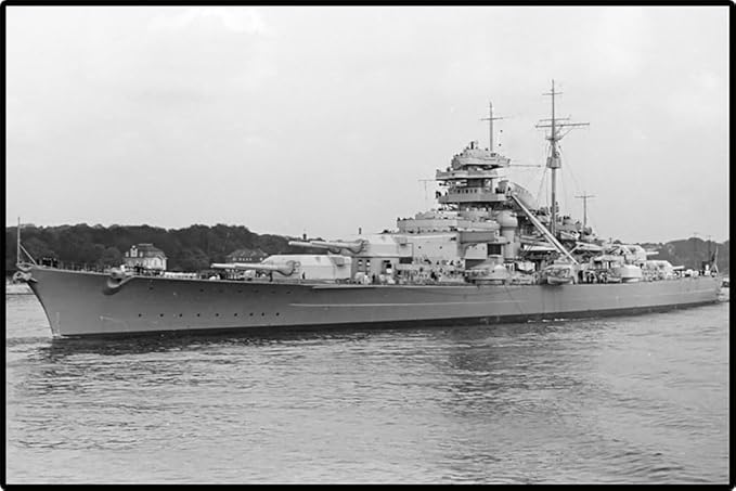61e5AK+zoXL._AC_SX679_