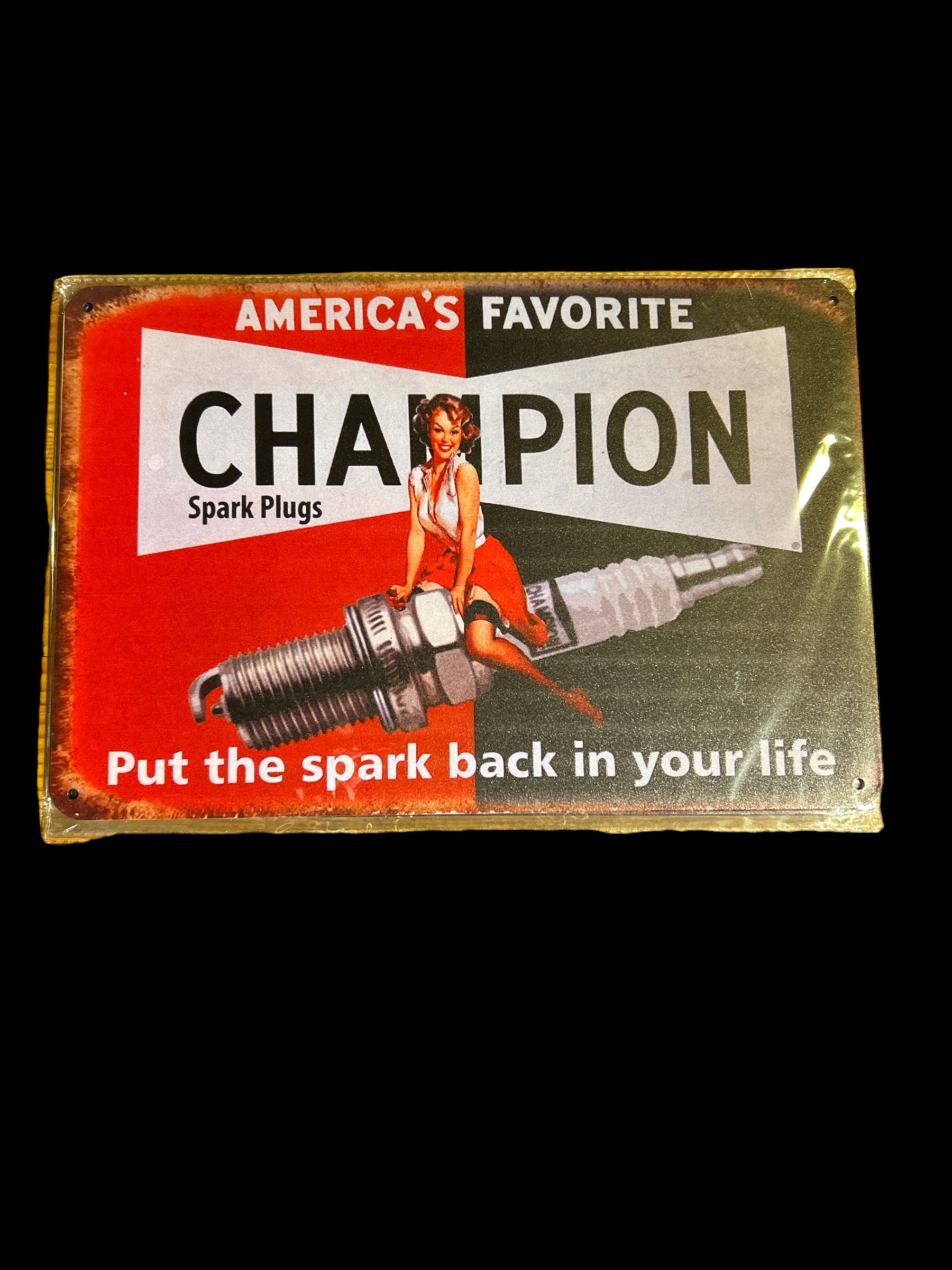 Plaque de métal décorative champion pinup