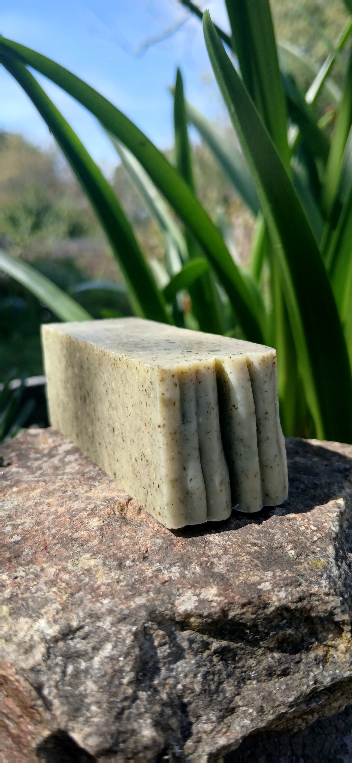 savon le champ format demi
