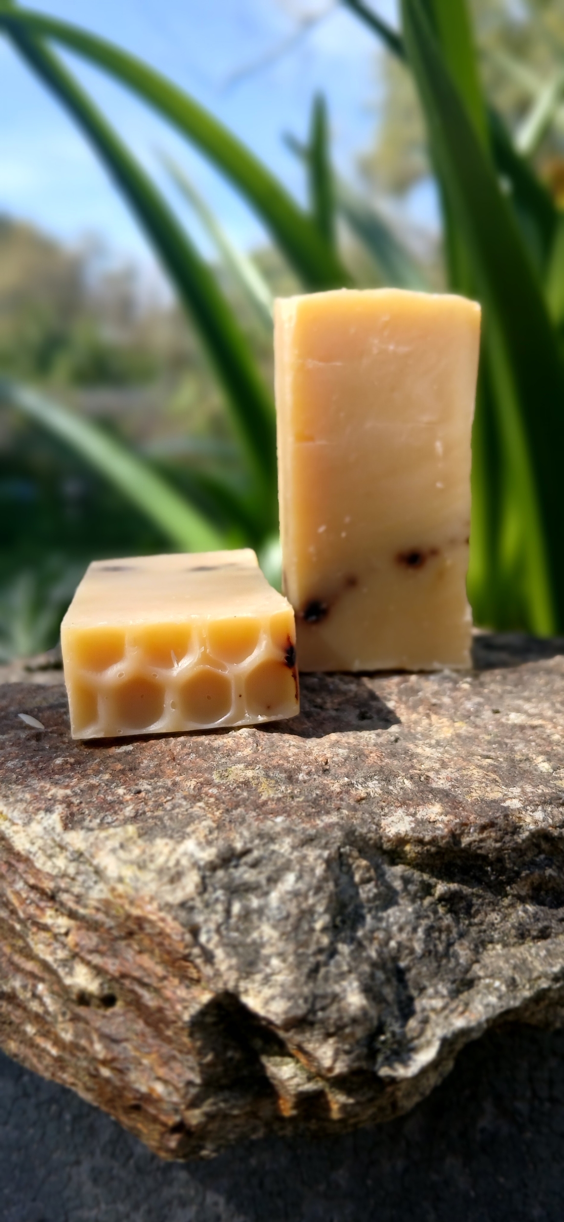 savon la ruche format mini