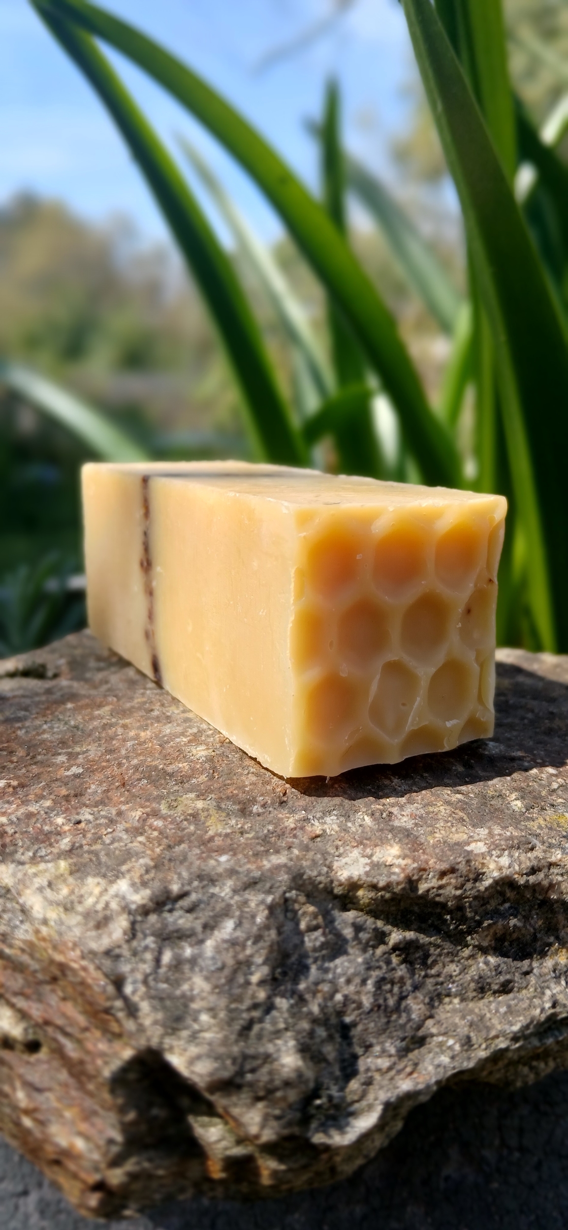 savon la Ruche format demi
