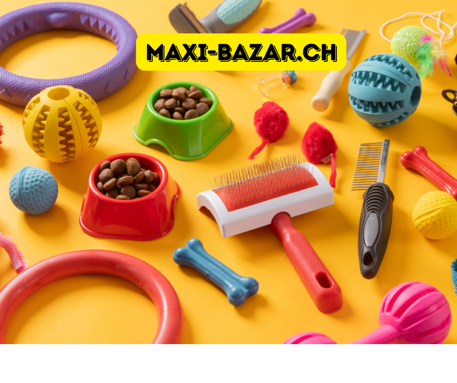 maxi bazar ch