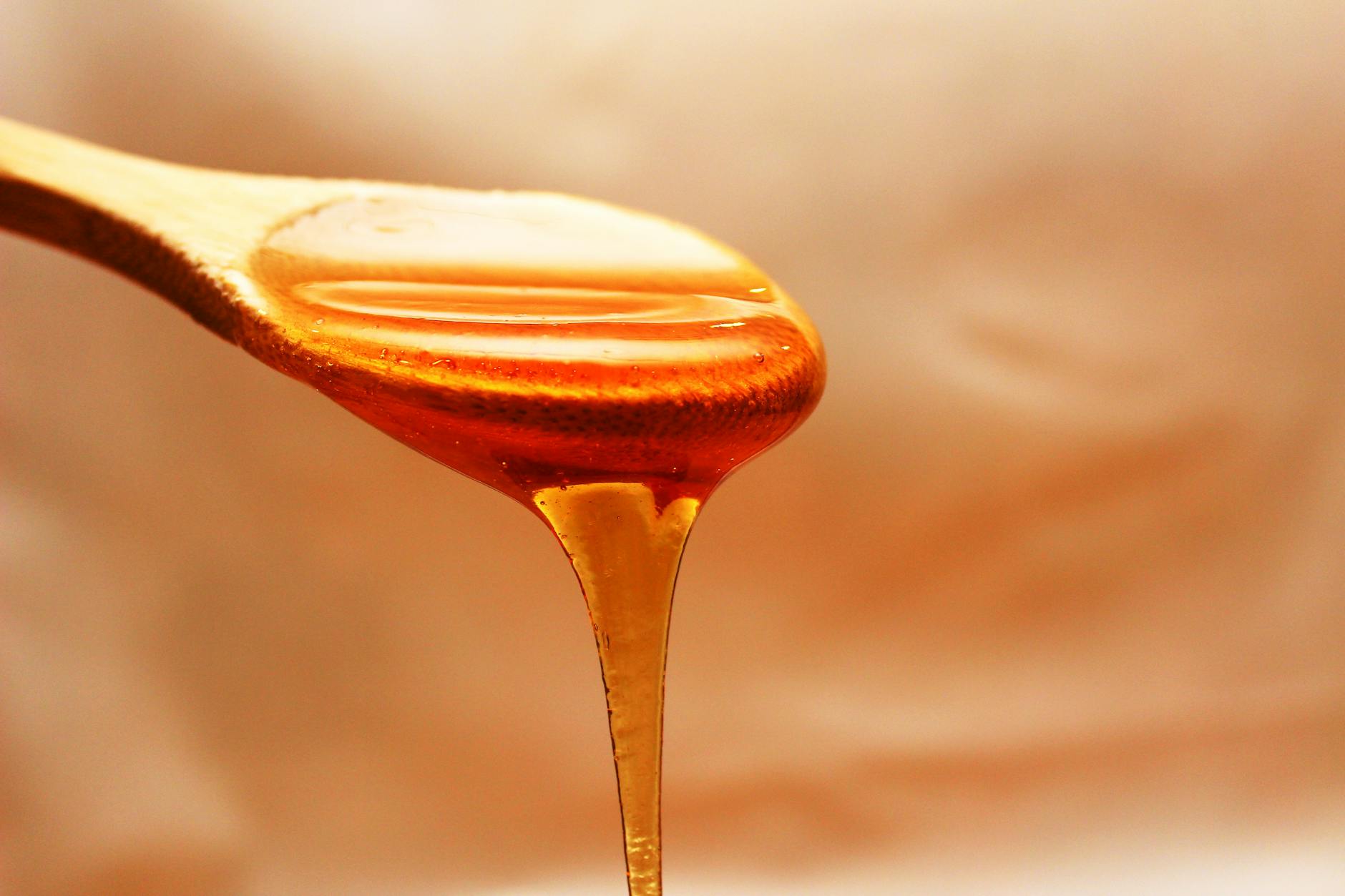 cuillere en bois marron avec du miel