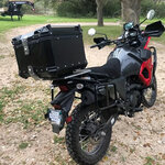 TRIPADV65_RIB_2