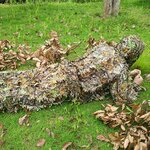 3D-feuille-chasse-vestes-pantalon-costume-Camouflage-v-tements-en-plein-air-traque-dans-la-chasse