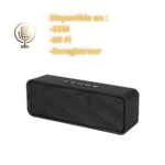ENCEINTE BLUETOOTH AVEC MICROPHONE ESPION