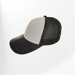 casquette grise (1)