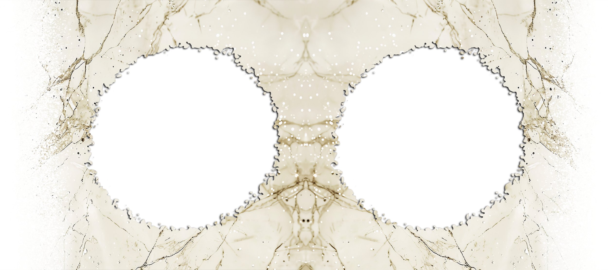 transparent-Photoroom (62)