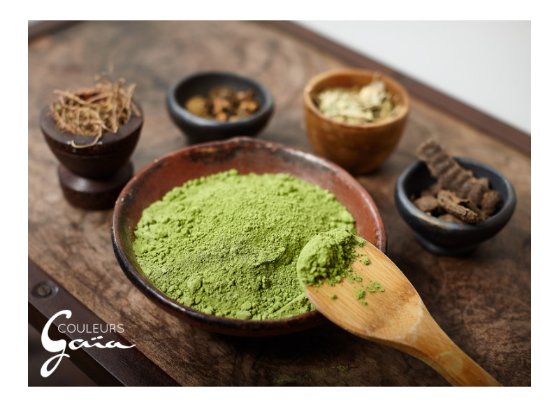 bol poudre bio couleurs vegetales gaia