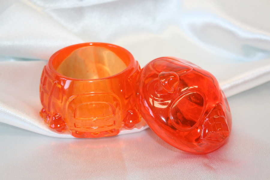 Boite CHAMPIGNON Resine Epoxy Teintée