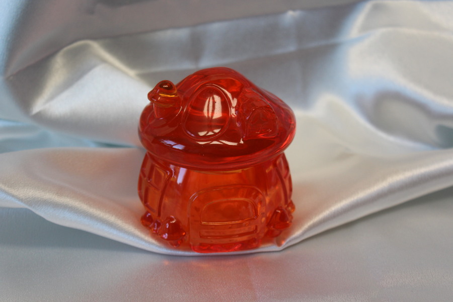 Boite CHAMPIGNON Resine Epoxy Teintée (5)